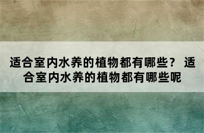 适合室内水养的植物都有哪些？ 适合室内水养的植物都有哪些呢